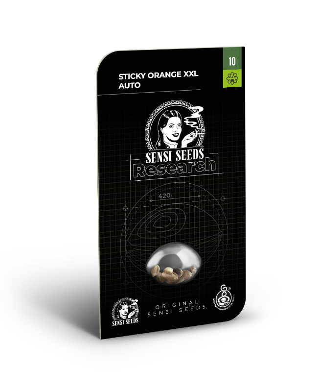 SensiSeeds Sticky Orange XXL Automatic Hanfsamen