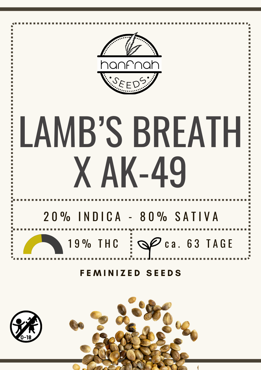 LAMB'S BREATH X AK-49