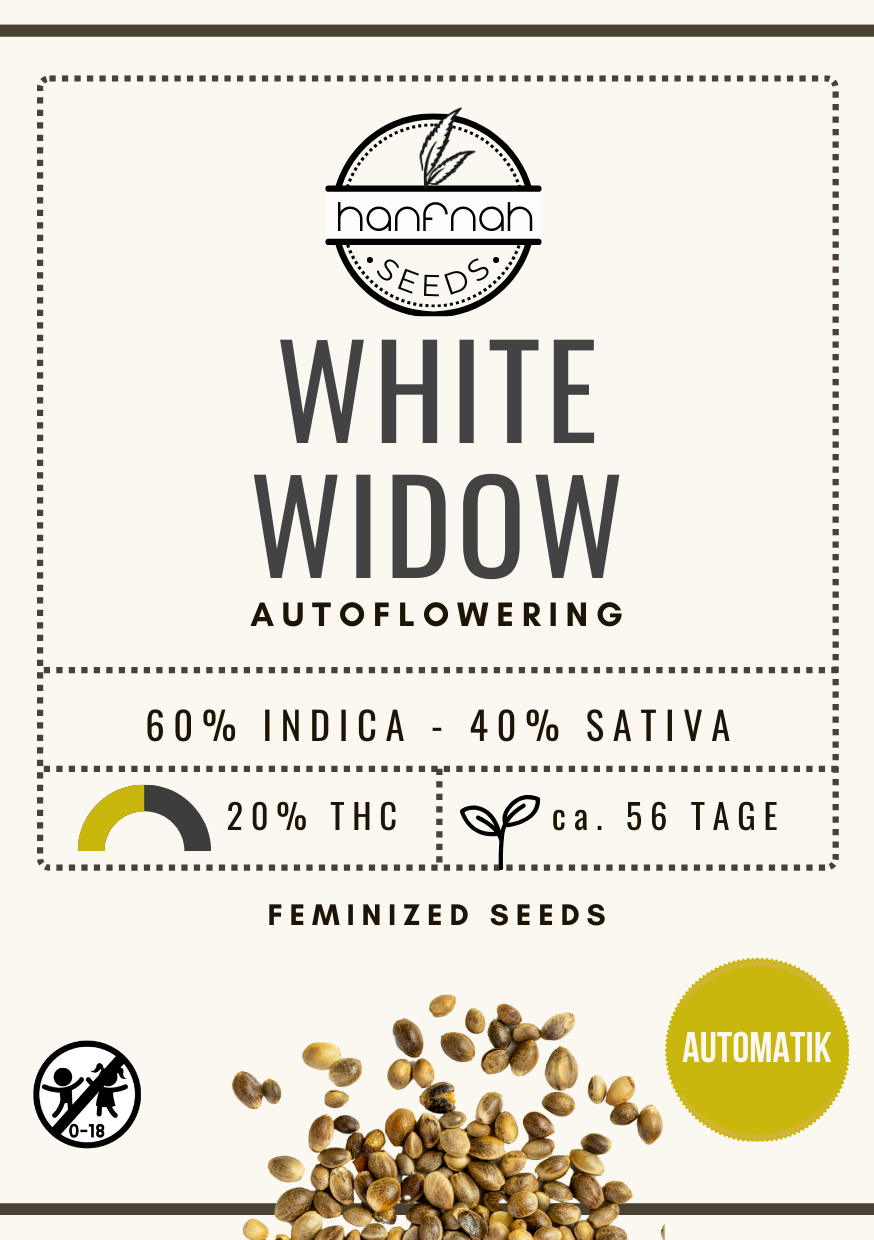 WHITE WIDOW AUTO