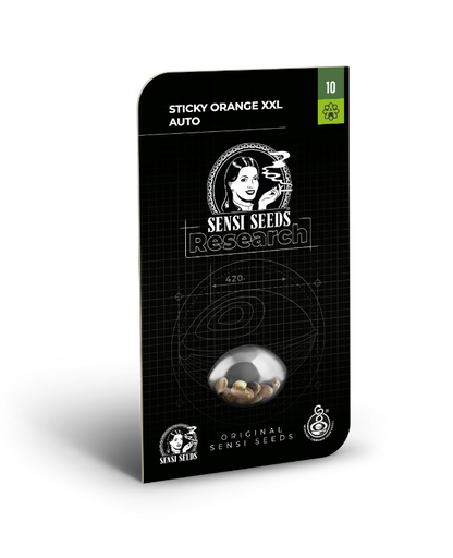 SensiSeeds Sticky Orange XXL Automatic Hanfsamen