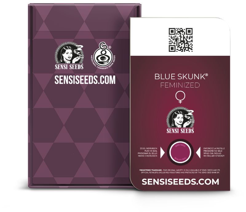 SensiSeeds Blue Skunk Feminisierte Hanfsamen