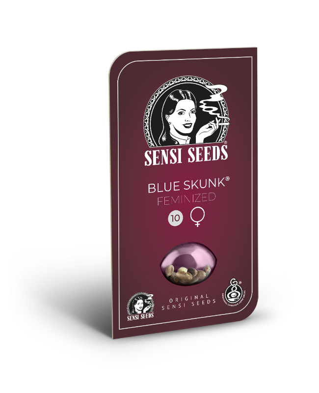 SensiSeeds Blue Skunk Feminisierte Hanfsamen