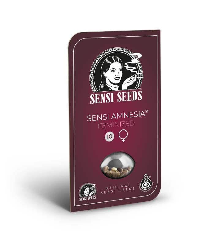 SensiSeeds Sensi Amnesia Feminisierte Hanfsamen