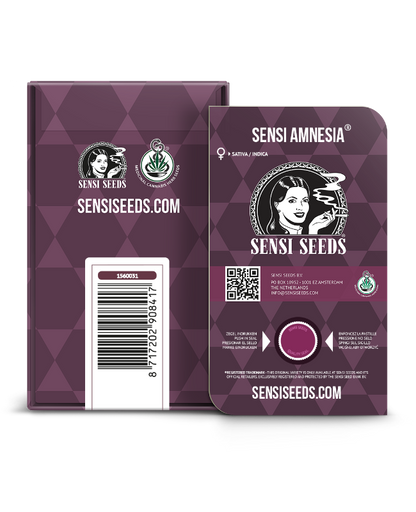 SensiSeeds Sensi Amnesia Feminisierte Hanfsamen