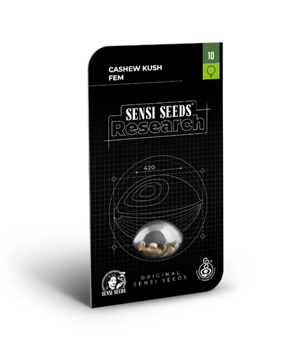 SensiSeeds Cashew Kush Feminisierte Hanfsamen