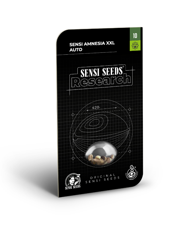 SensiSeeds Sensi Amnesia XXL Automatic Hanfsamen