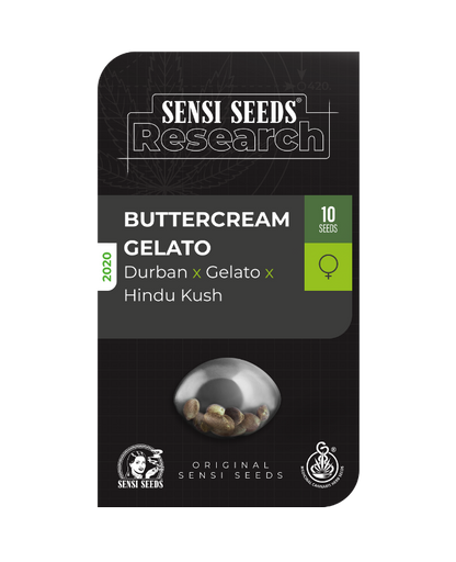 SensiSeeds Buttercream Gelato Feminisierte Hanfsamen