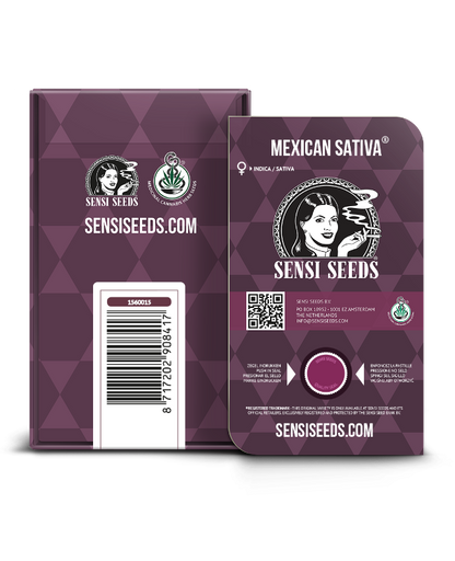 SensiSeeds Mexican Sativa Feminisierte Hanfsamen