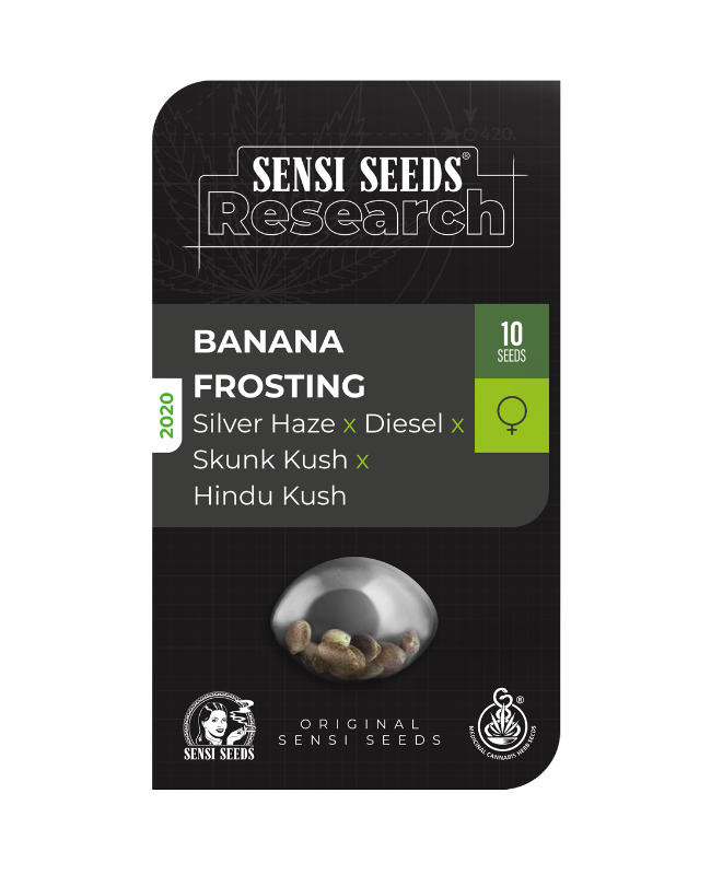 SensiSeeds Banana Frosting Feminisierte Hanfsamen