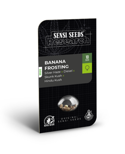 SensiSeeds Banana Frosting Feminisierte Hanfsamen