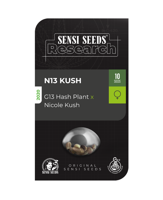 SensiSeeds N13 Kush Feminisierte Hanfsamen