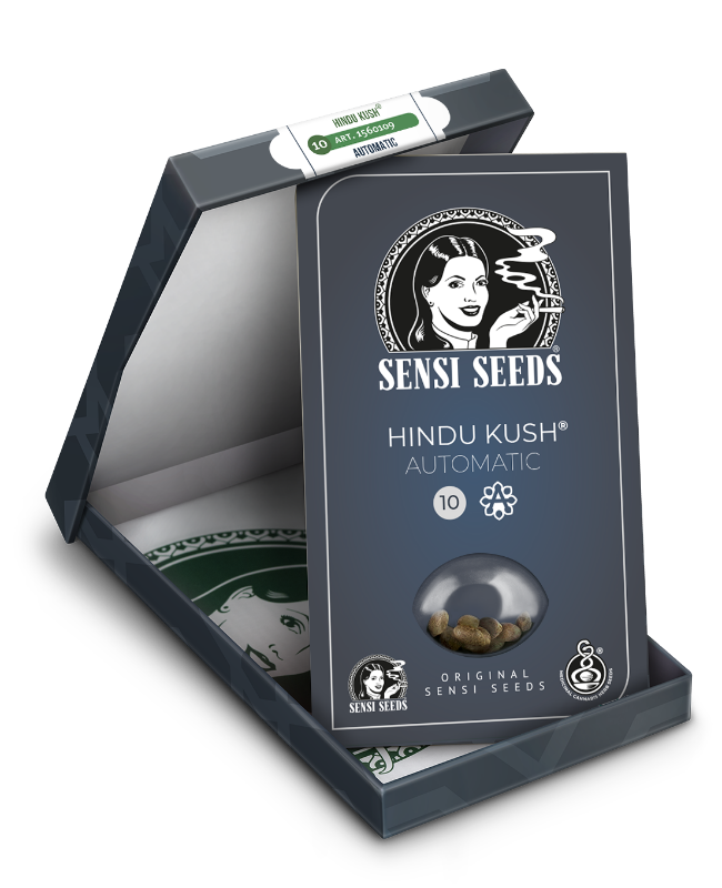 SensiSeeds Hindu Kush Automatic Hanfsamen