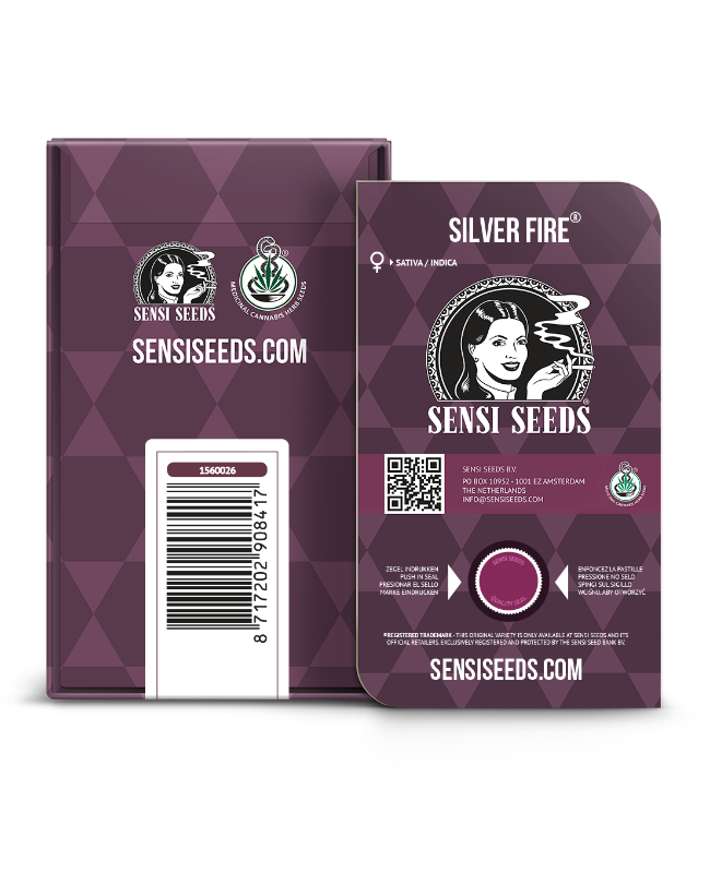 SensiSeeds Silver Fire Feminisierte Hanfsamen