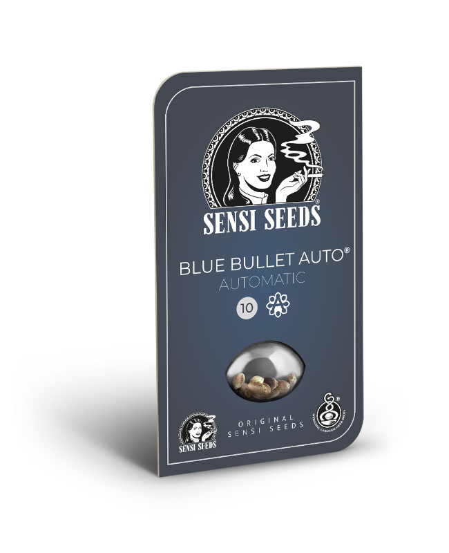 SensiSeeds Blue Bullet Automatische Hanfsamen