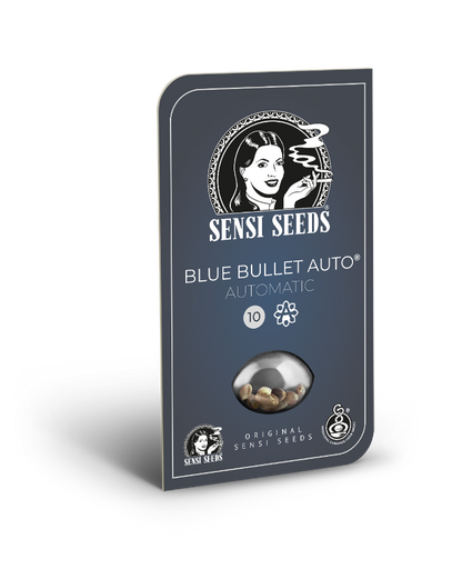 SensiSeeds Blue Bullet Automatische Hanfsamen