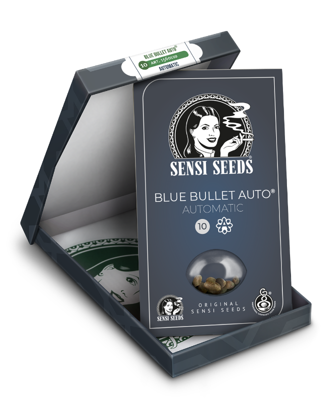 SensiSeeds Blue Bullet Automatische Hanfsamen