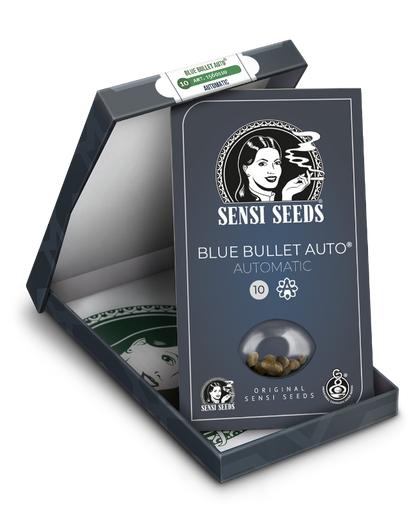 SensiSeeds Blue Bullet Automatische Hanfsamen