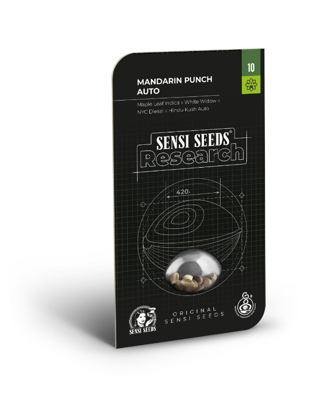 SensiSeeds Mandarin Punch Automatic Hanfsamen