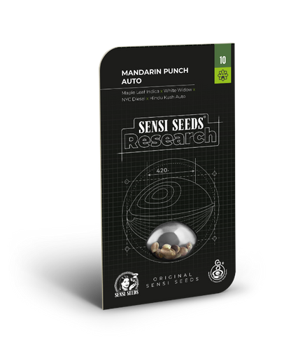 SensiSeeds Mandarin Punch Automatic Hanfsamen