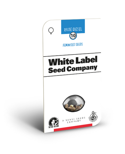 White Label White Diesel Feminisierte Hanfsamen