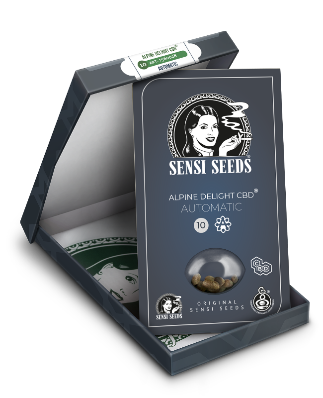 SensiSeeds Alpine Delight CBD Automatic Hanfsamen