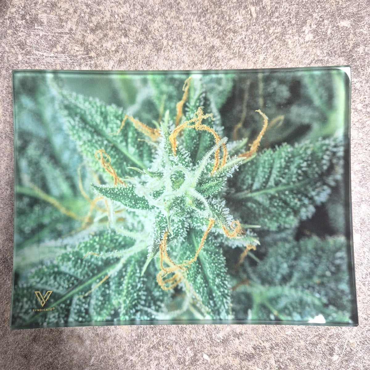 Syndicate Glas Tray