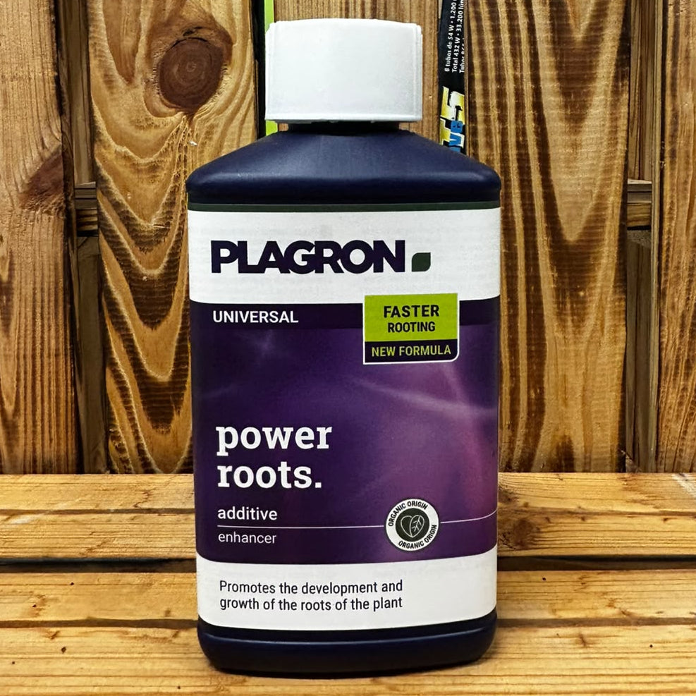 Plagron Power Roots – Der Turbo für ein gesundes Wurzelwachstum