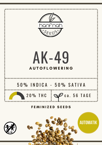 AK-49 AUTO