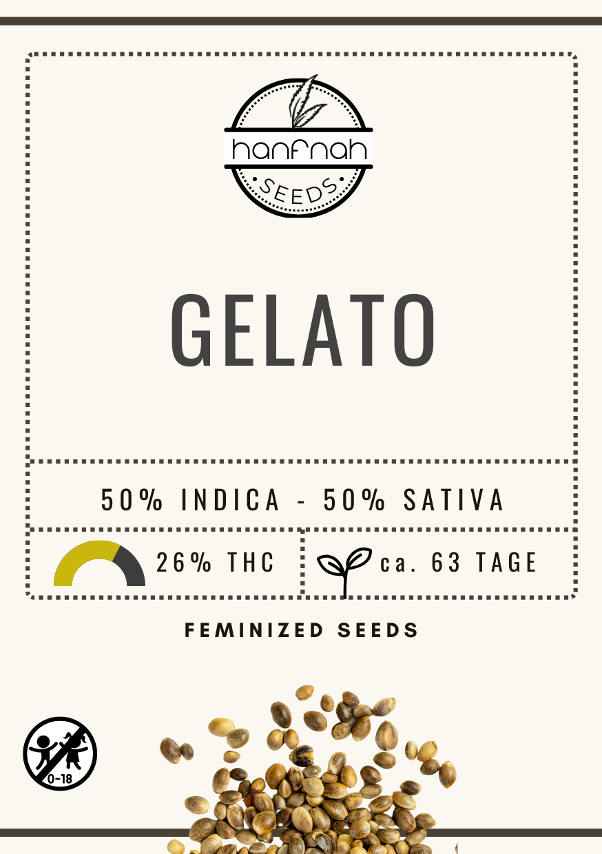 GELATO