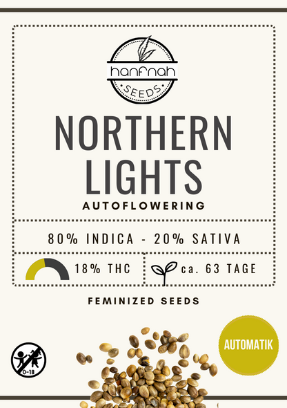 NORTHERN LIGHTS AUTO