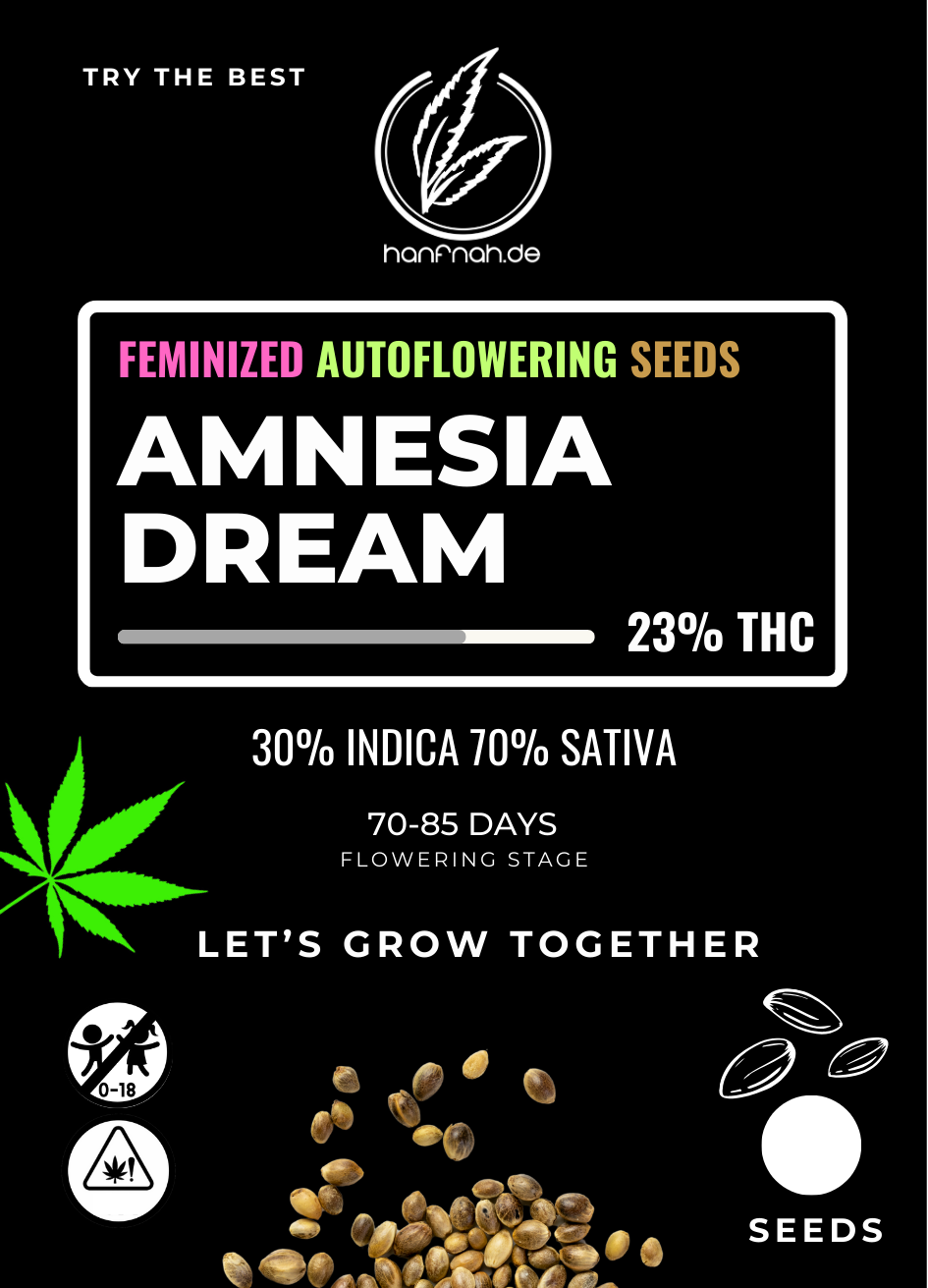 hanfnah AMNESIA DREAM Automatic Cannabis Samen