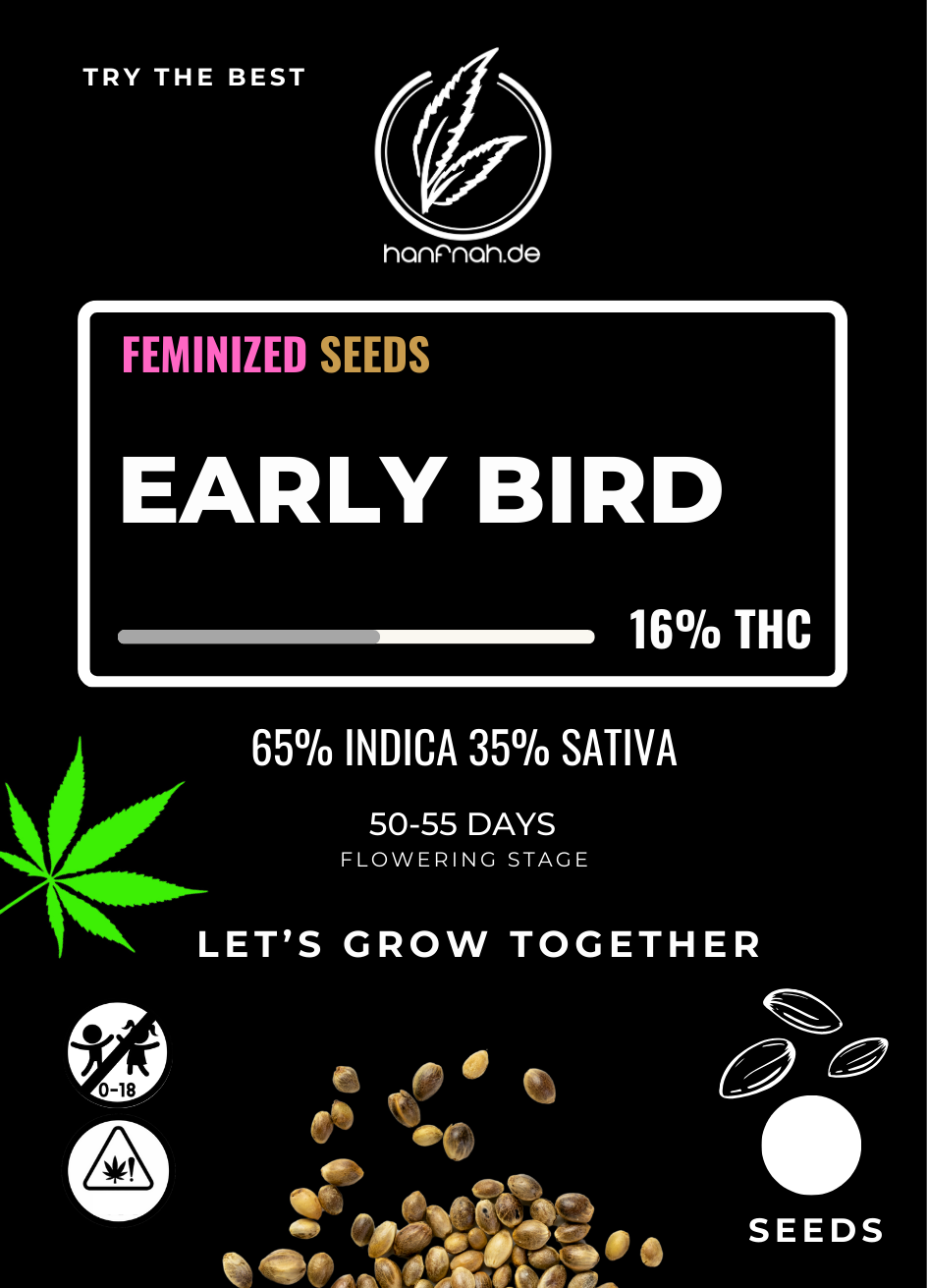 hanfnah EARLY BIRD Feminisiert Cannabis Samen