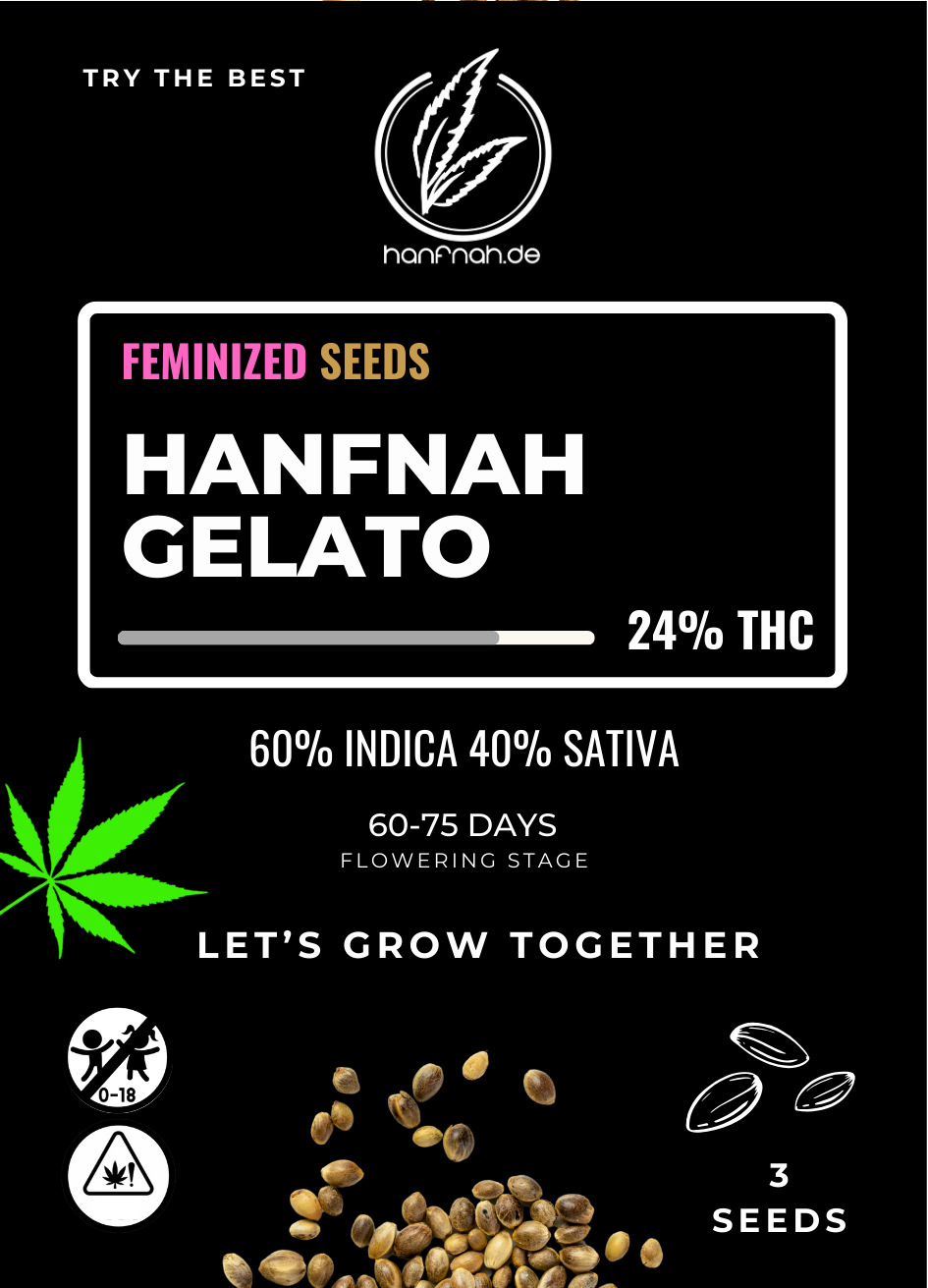 hanfnah GELATO Feminisierte Cannabis Samen