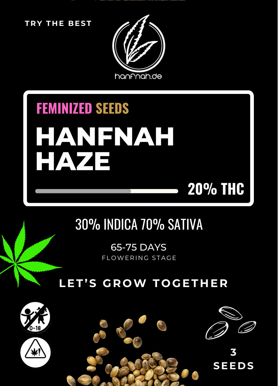 hanfnah HAZE Feminisierte Cannabis Samen