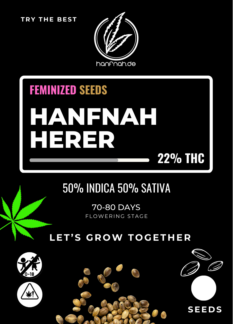 hanfnah HERER Feminisiert Cannabis Samen