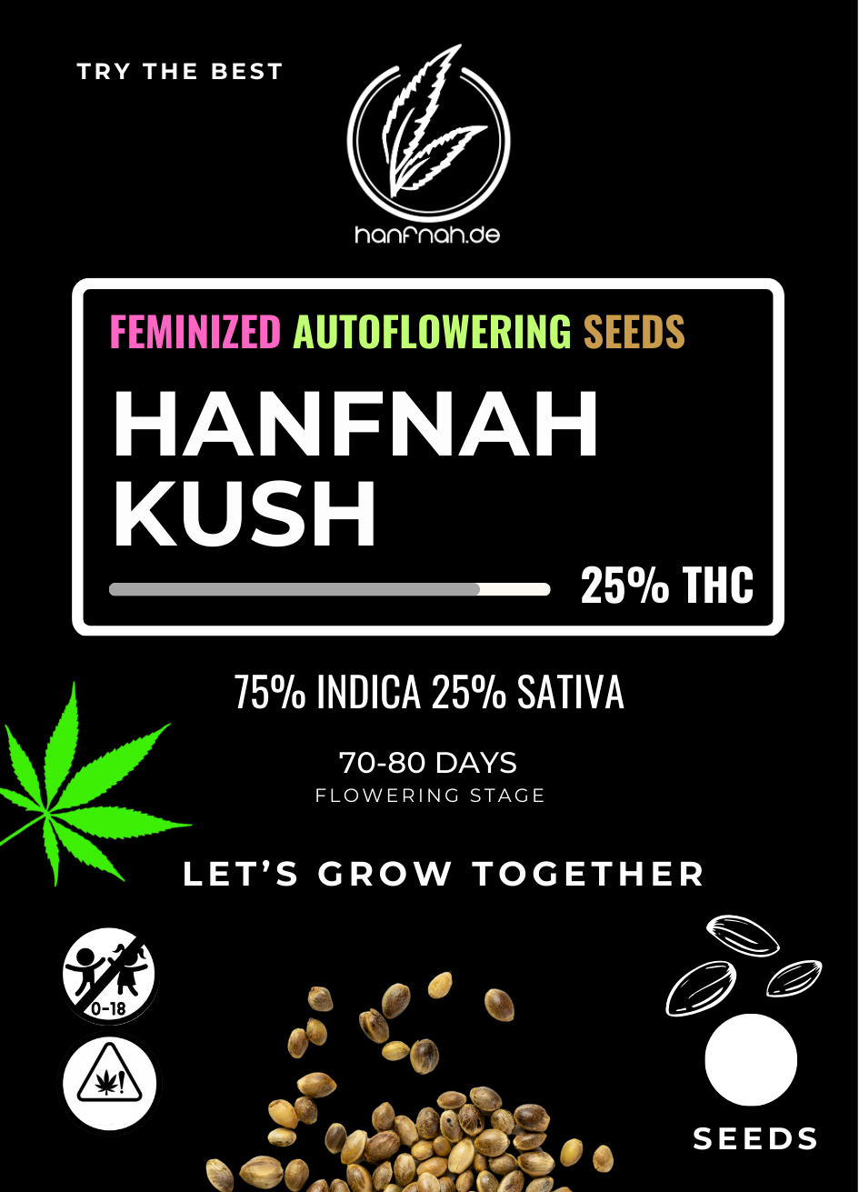 hanfnah KUSH Automatic Cannabis Samen