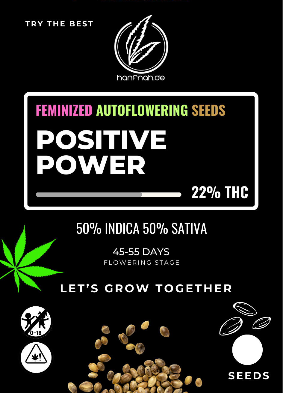 hanfnah POSITIV POWER Automatic Cannabis Samen